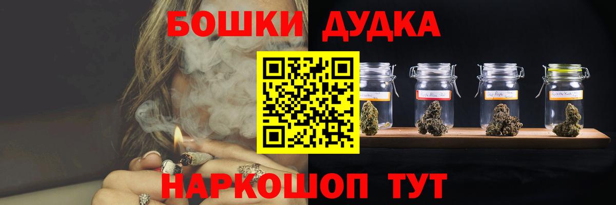 Каннабис индика  МАРИХУАНА план  Бердск  Вход с VPN 